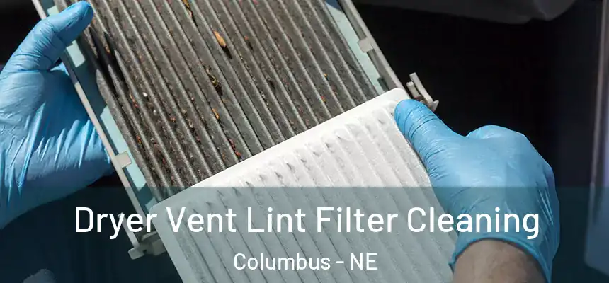  Dryer Vent Lint Filter Cleaning Columbus - NE