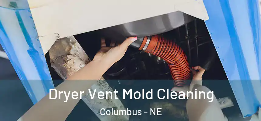 Dryer Vent Mold Cleaning Columbus - NE