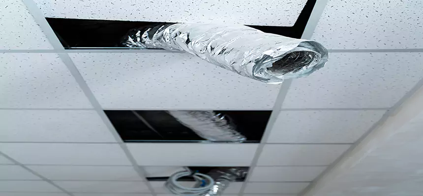 Our Air Duct Pet Hair Removal Services in Columbus, NE