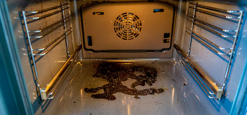 Our Dryer Vent Mold Cleaning Services in Columbus, NE