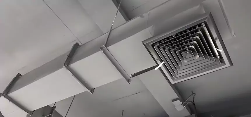 Our Pest Removal From Ducts Services in Columbus, NE