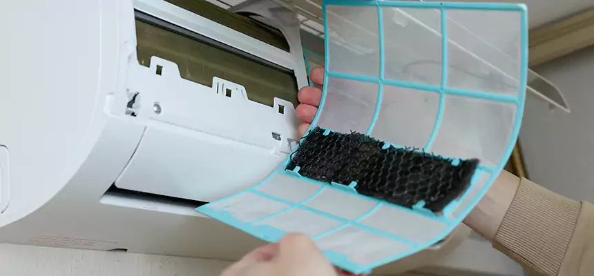 Gentle Ductwork Odor-Control Pet Dander Duct Cleaning in Columbus, NE