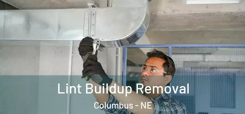  Lint Buildup Removal Columbus - NE