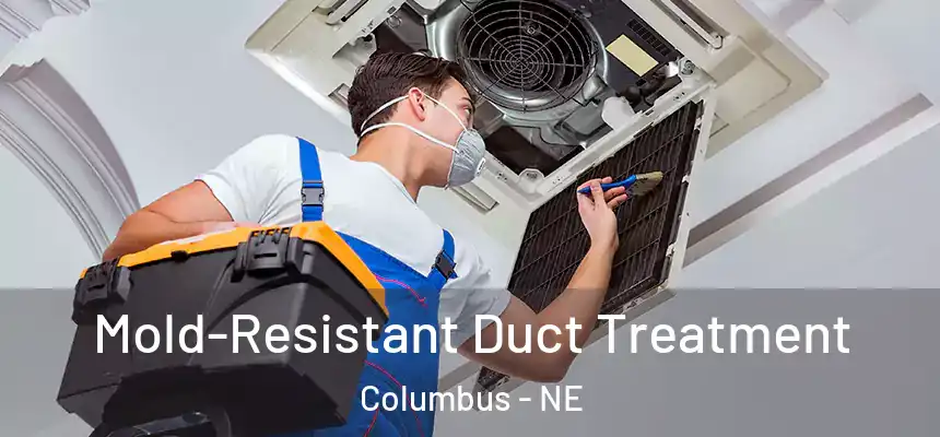  Mold-Resistant Duct Treatment Columbus - NE