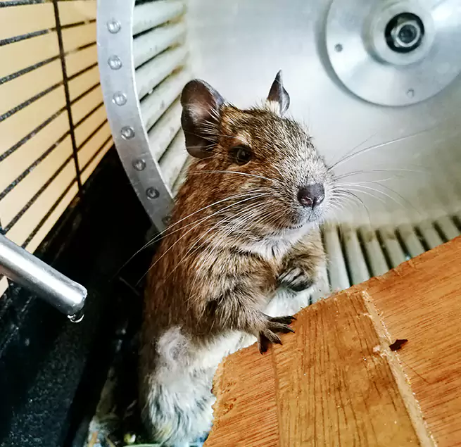 Why Homeowners & Businesses Trust Us Columbus, NE?