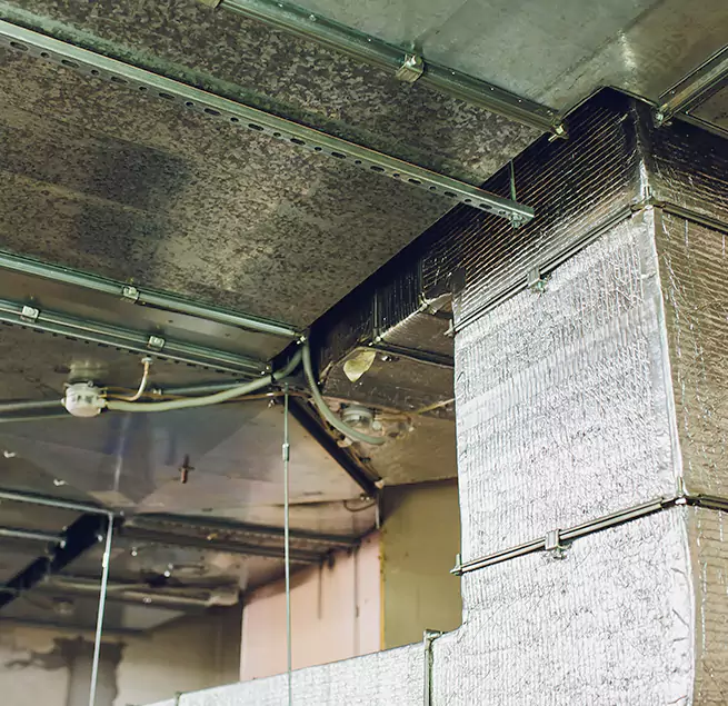 Why Homeowners & Businesses Trust Us in Columbus, NE?